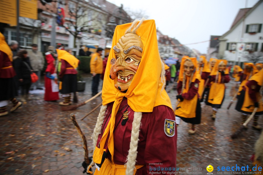 Fasnetsumzug - Fasching: Langenargen am Bodensee, 10.01.2016