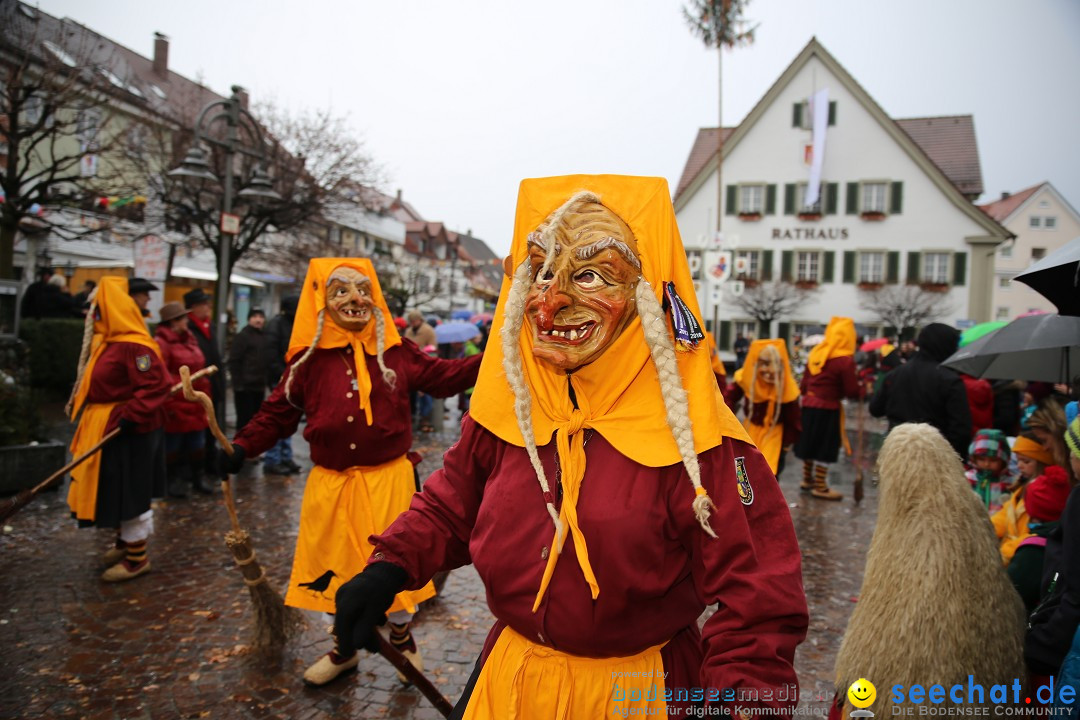 Fasnetsumzug - Fasching: Langenargen am Bodensee, 10.01.2016