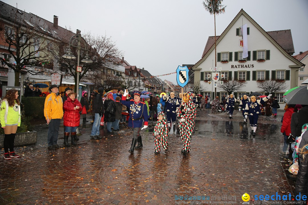 Fasnetsumzug - Fasching: Langenargen am Bodensee, 10.01.2016