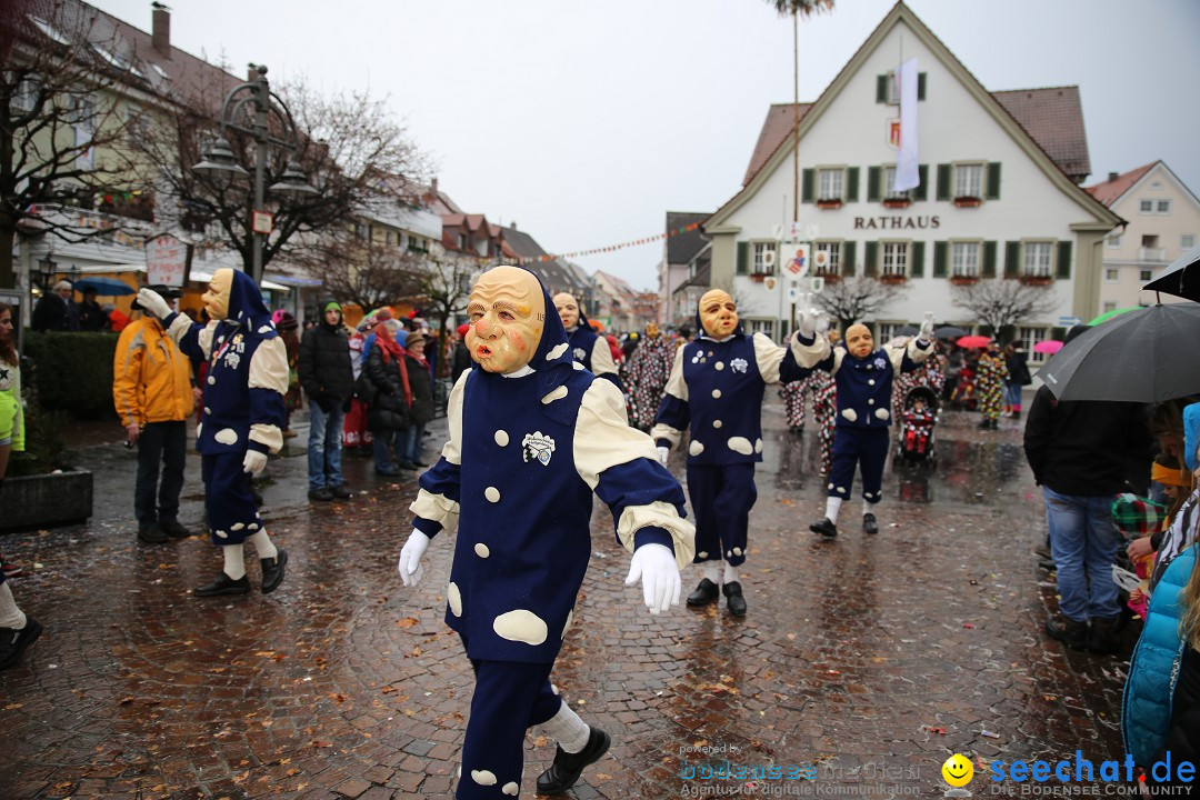 Fasnetsumzug - Fasching: Langenargen am Bodensee, 10.01.2016