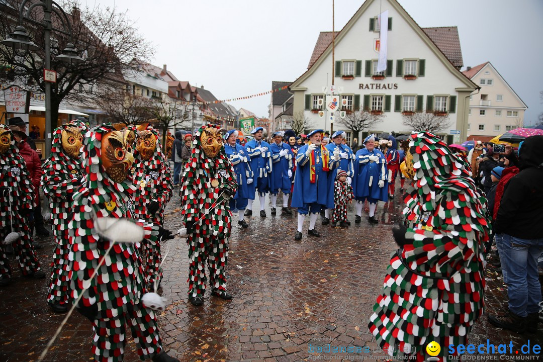 Fasnetsumzug - Fasching: Langenargen am Bodensee, 10.01.2016