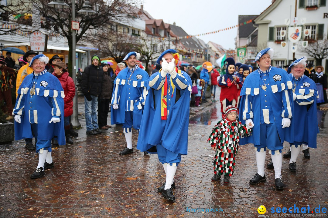 Fasnetsumzug - Fasching: Langenargen am Bodensee, 10.01.2016