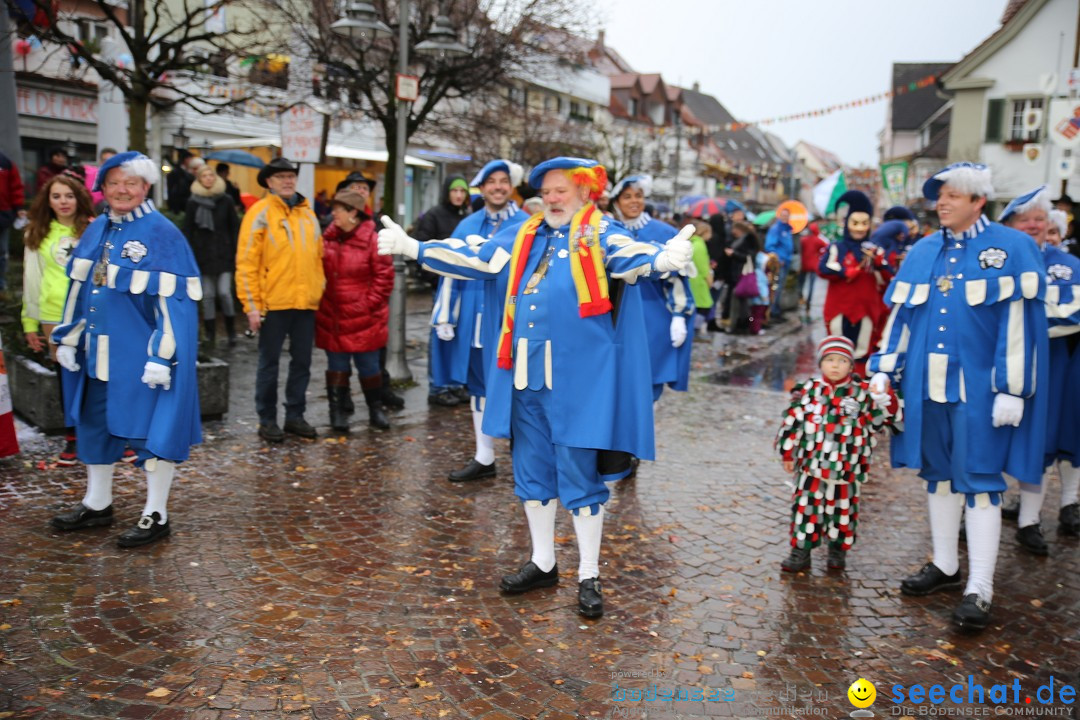 Fasnetsumzug - Fasching: Langenargen am Bodensee, 10.01.2016