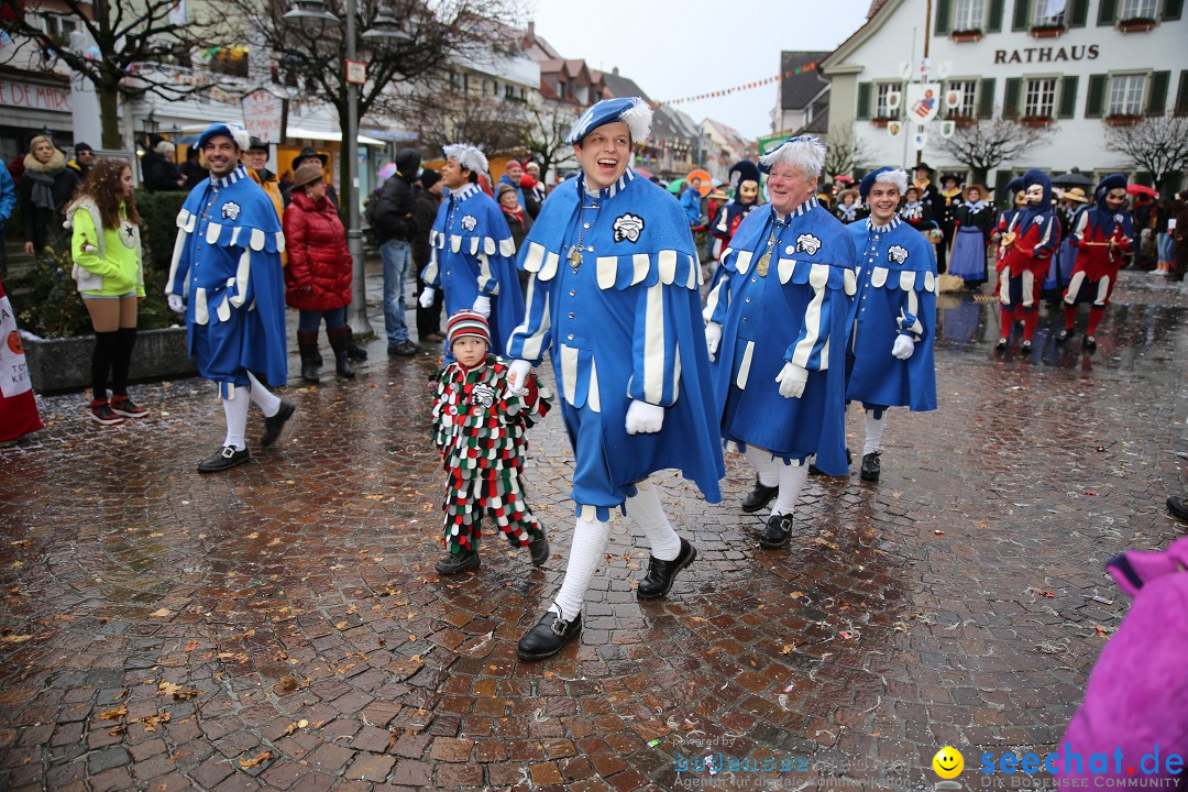 Fasnetsumzug - Fasching: Langenargen am Bodensee, 10.01.2016