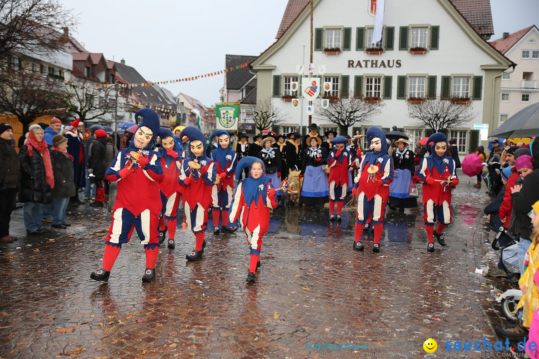 Fasnetsumzug - Fasching: Langenargen am Bodensee, 10.01.2016