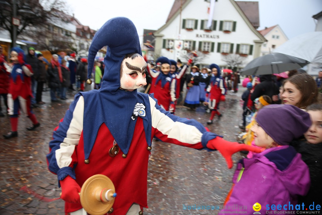 Fasnetsumzug - Fasching: Langenargen am Bodensee, 10.01.2016