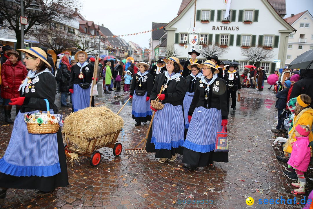 Fasnetsumzug - Fasching: Langenargen am Bodensee, 10.01.2016