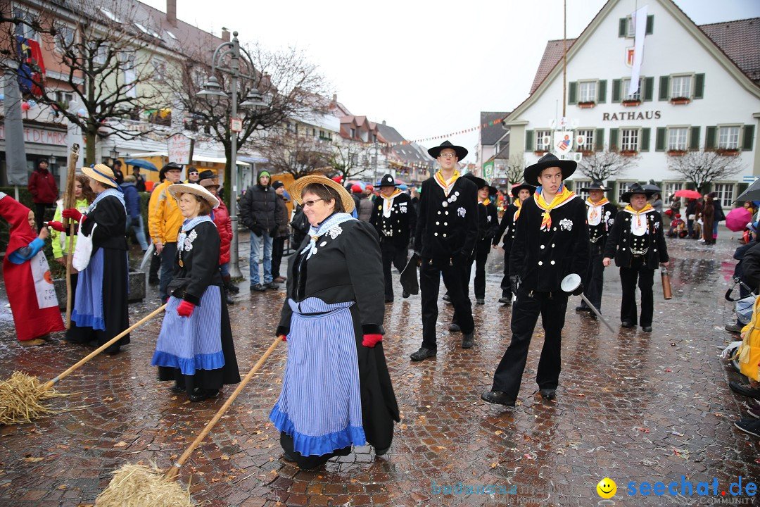 Fasnetsumzug - Fasching: Langenargen am Bodensee, 10.01.2016