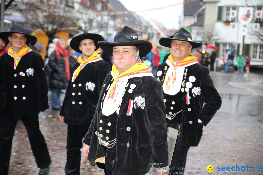 Fasnetsumzug - Fasching: Langenargen am Bodensee, 10.01.2016