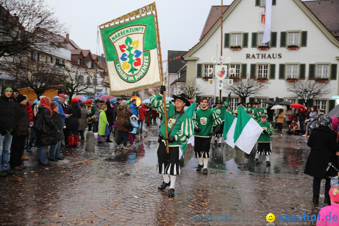 Fasnetsumzug - Fasching: Langenargen am Bodensee, 10.01.2016