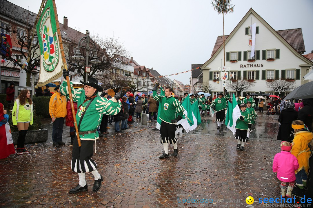 Fasnetsumzug - Fasching: Langenargen am Bodensee, 10.01.2016