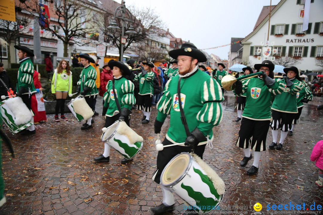 Fasnetsumzug - Fasching: Langenargen am Bodensee, 10.01.2016