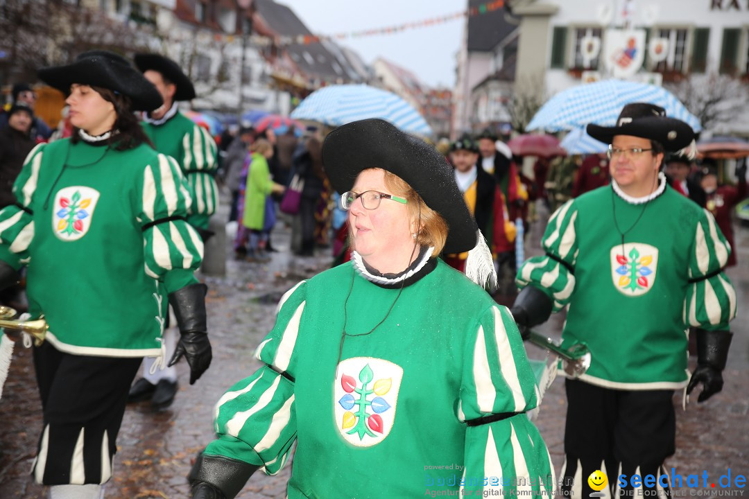 Fasnetsumzug - Fasching: Langenargen am Bodensee, 10.01.2016