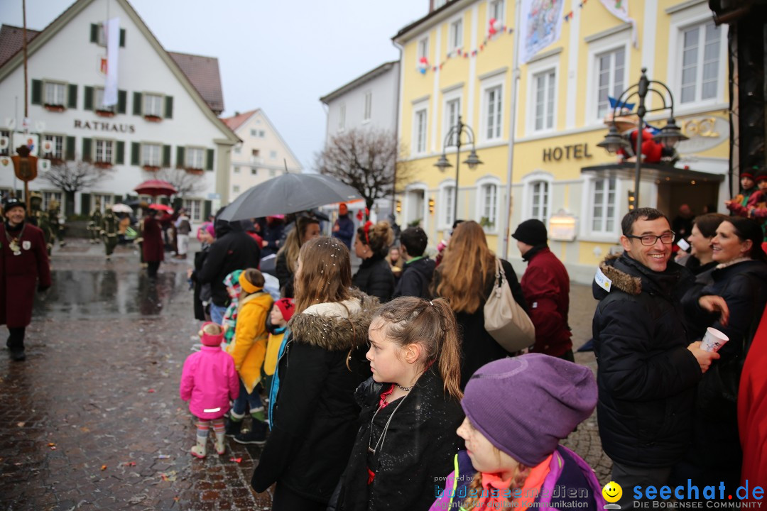 Fasnetsumzug - Fasching: Langenargen am Bodensee, 10.01.2016