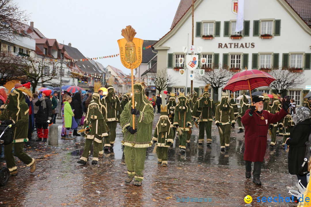 Fasnetsumzug - Fasching: Langenargen am Bodensee, 10.01.2016