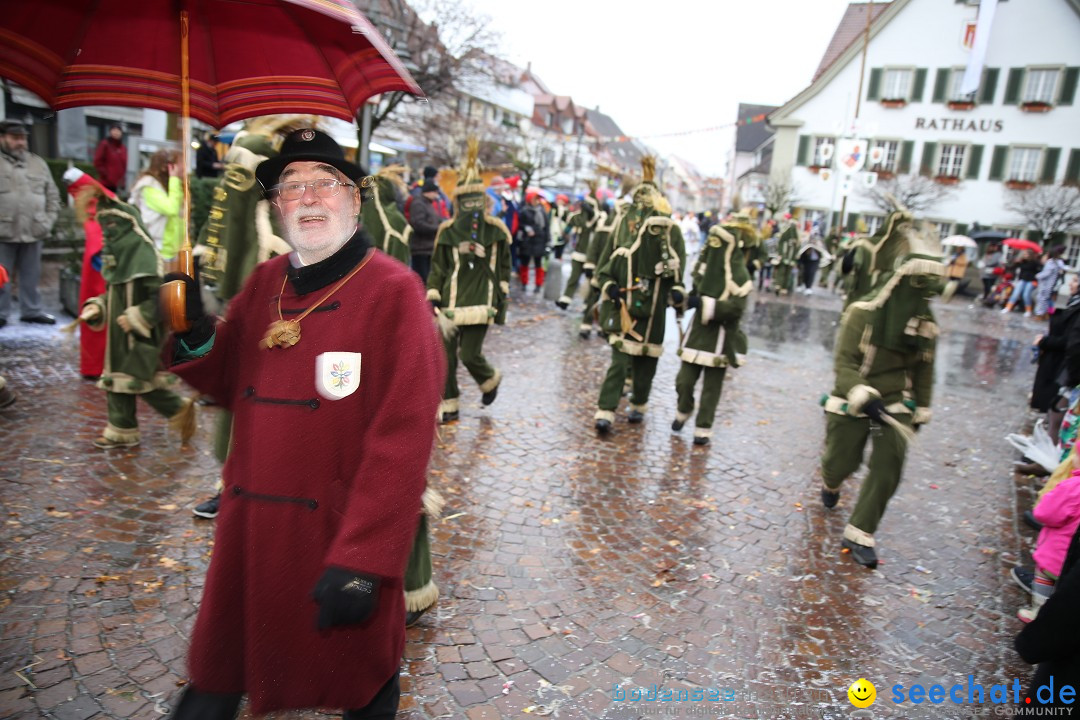 Fasnetsumzug - Fasching: Langenargen am Bodensee, 10.01.2016