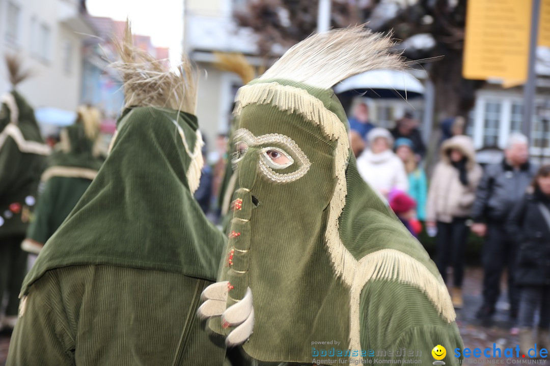 Fasnetsumzug - Fasching: Langenargen am Bodensee, 10.01.2016