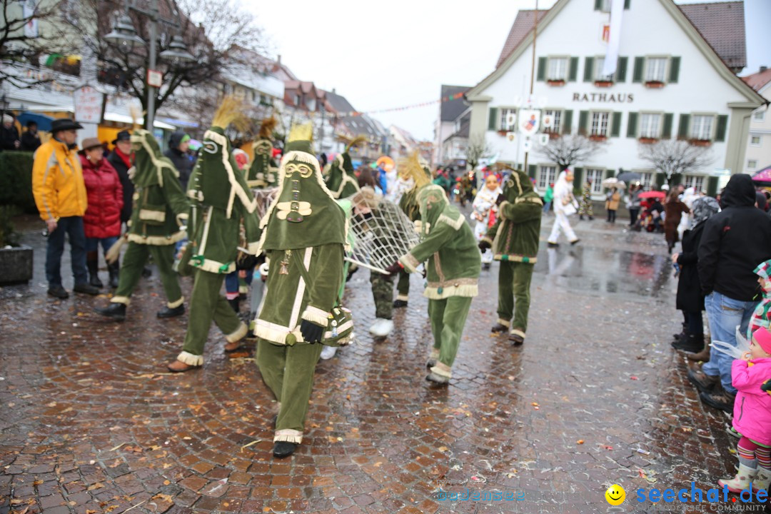 Fasnetsumzug - Fasching: Langenargen am Bodensee, 10.01.2016