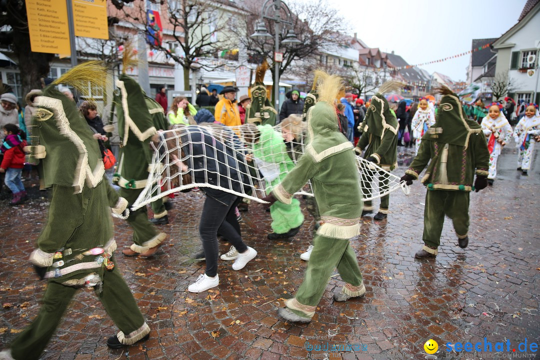 Fasnetsumzug - Fasching: Langenargen am Bodensee, 10.01.2016