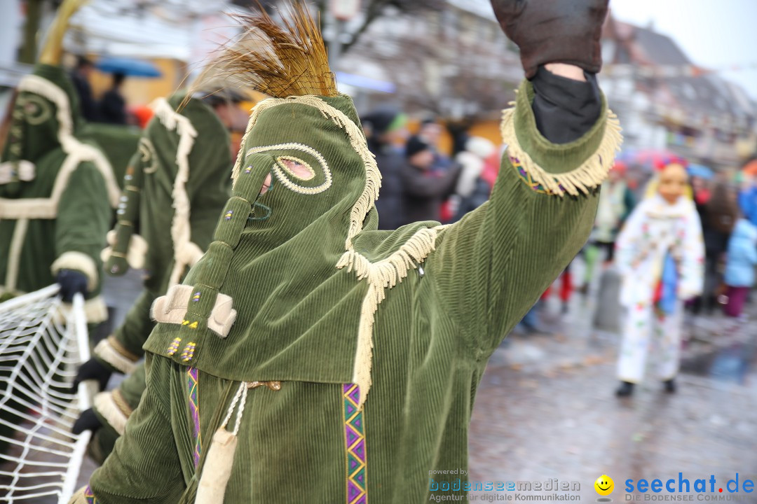 Fasnetsumzug - Fasching: Langenargen am Bodensee, 10.01.2016