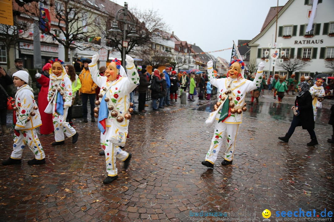 Fasnetsumzug - Fasching: Langenargen am Bodensee, 10.01.2016