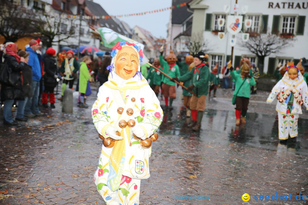 Fasnetsumzug - Fasching: Langenargen am Bodensee, 10.01.2016