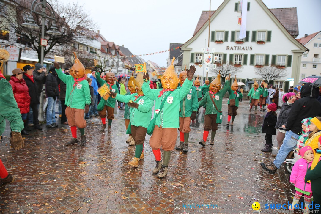 Fasnetsumzug - Fasching: Langenargen am Bodensee, 10.01.2016