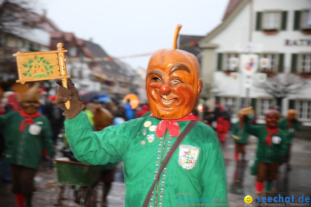 Fasnetsumzug - Fasching: Langenargen am Bodensee, 10.01.2016