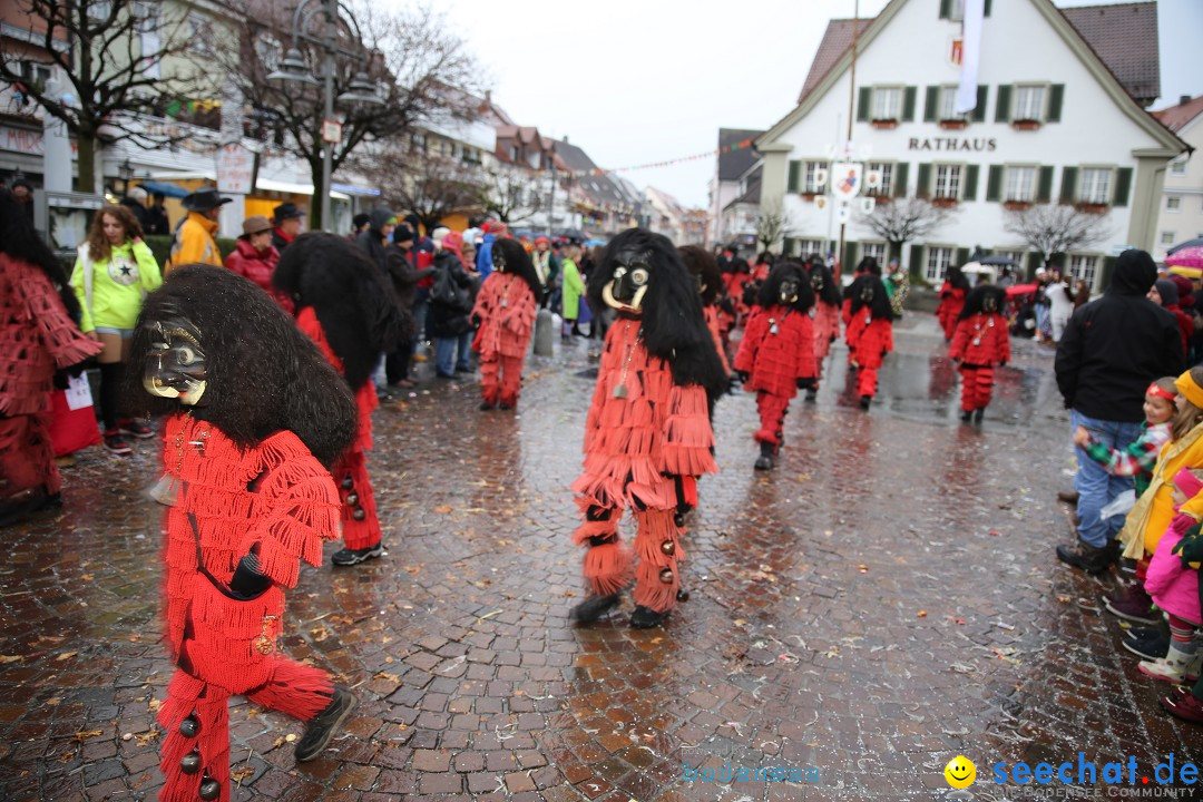 Fasnetsumzug - Fasching: Langenargen am Bodensee, 10.01.2016