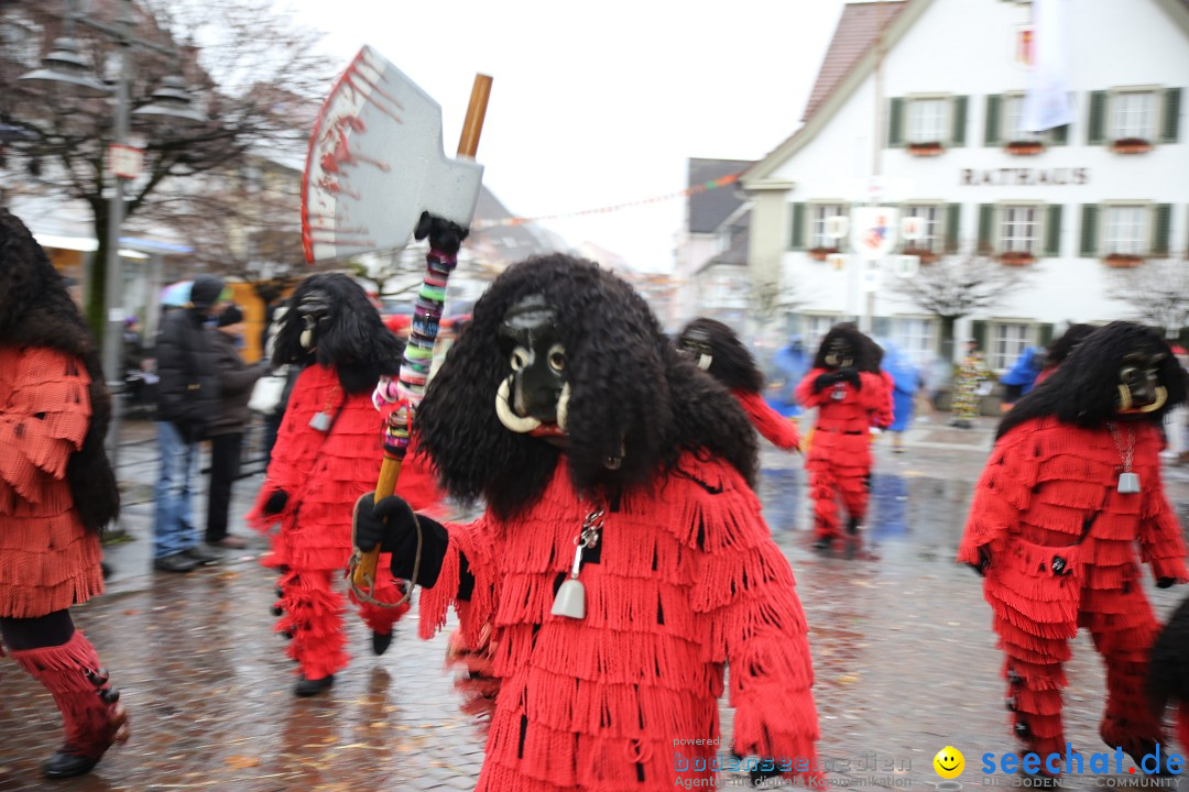 Fasnetsumzug - Fasching: Langenargen am Bodensee, 10.01.2016