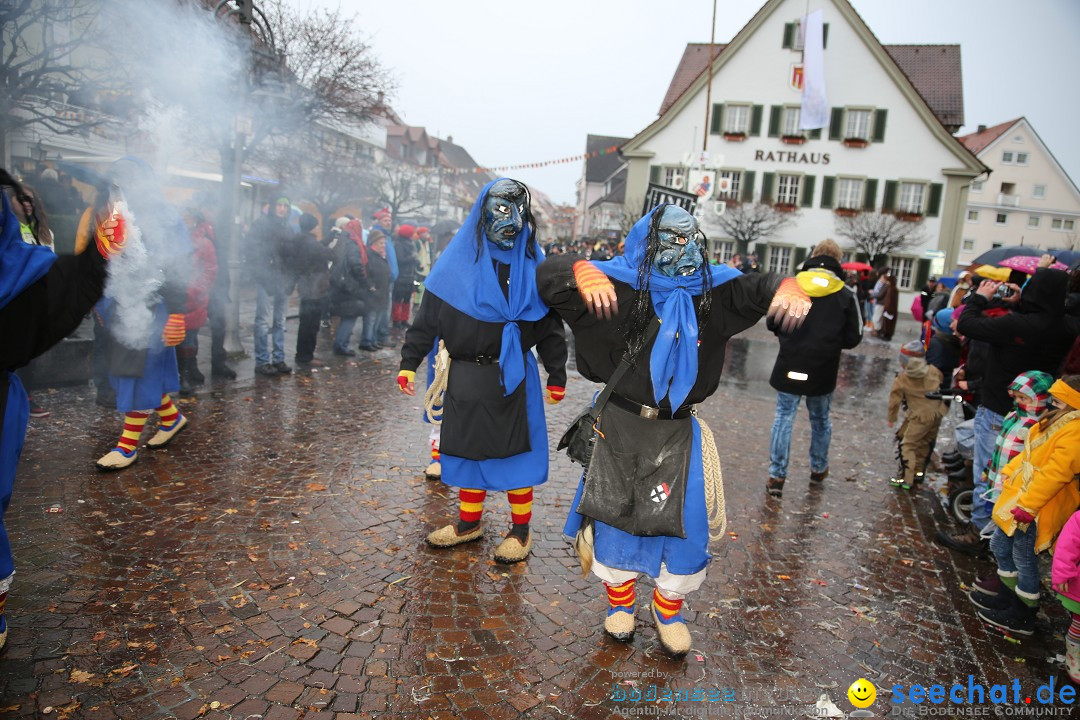 Fasnetsumzug - Fasching: Langenargen am Bodensee, 10.01.2016