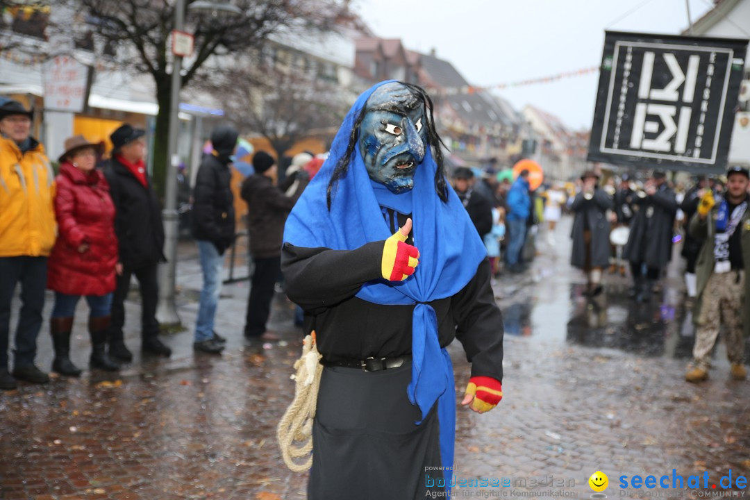 Fasnetsumzug - Fasching: Langenargen am Bodensee, 10.01.2016