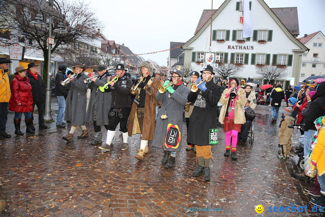 Fasnetsumzug - Fasching: Langenargen am Bodensee, 10.01.2016