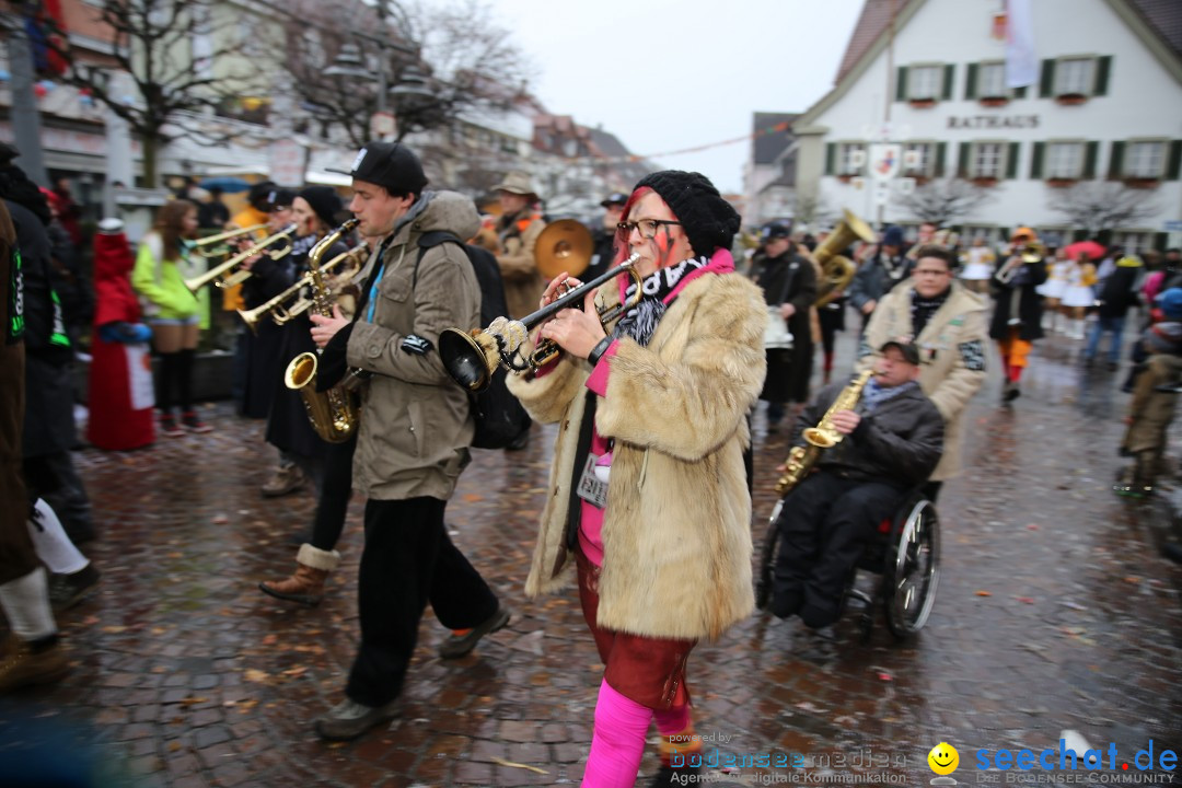 Fasnetsumzug - Fasching: Langenargen am Bodensee, 10.01.2016