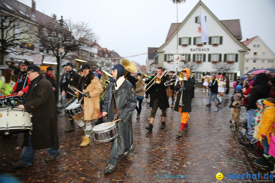 Fasnetsumzug - Fasching: Langenargen am Bodensee, 10.01.2016