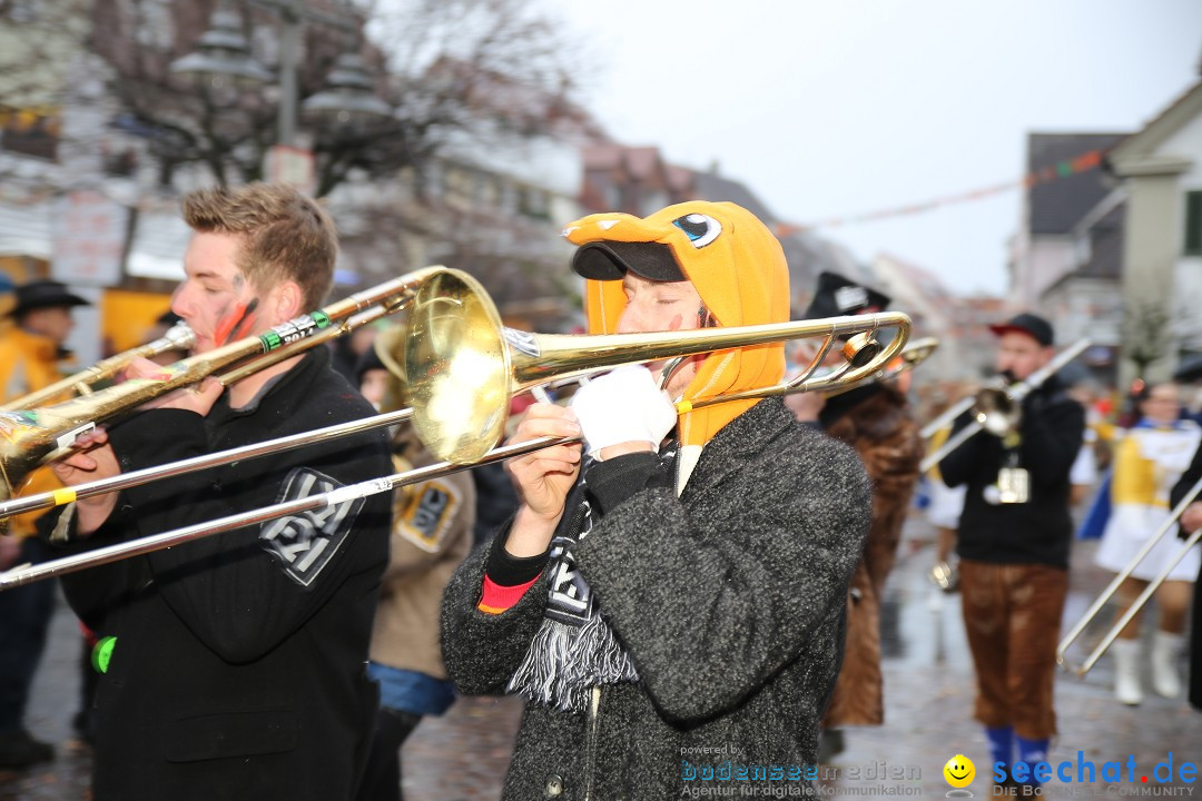 Fasnetsumzug - Fasching: Langenargen am Bodensee, 10.01.2016