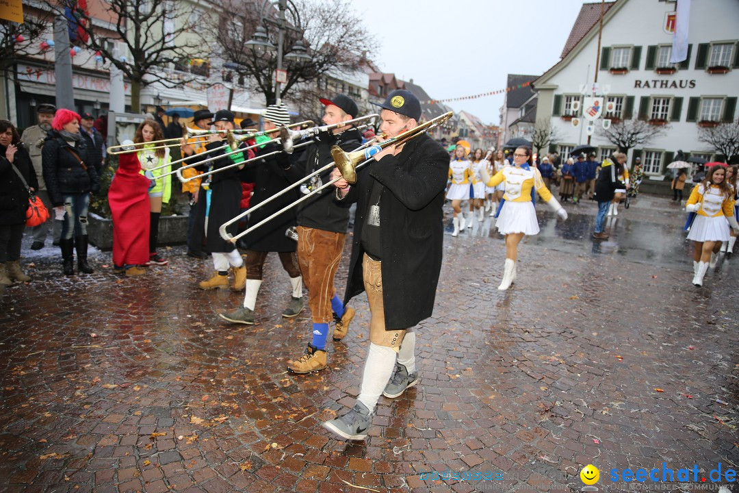 Fasnetsumzug - Fasching: Langenargen am Bodensee, 10.01.2016