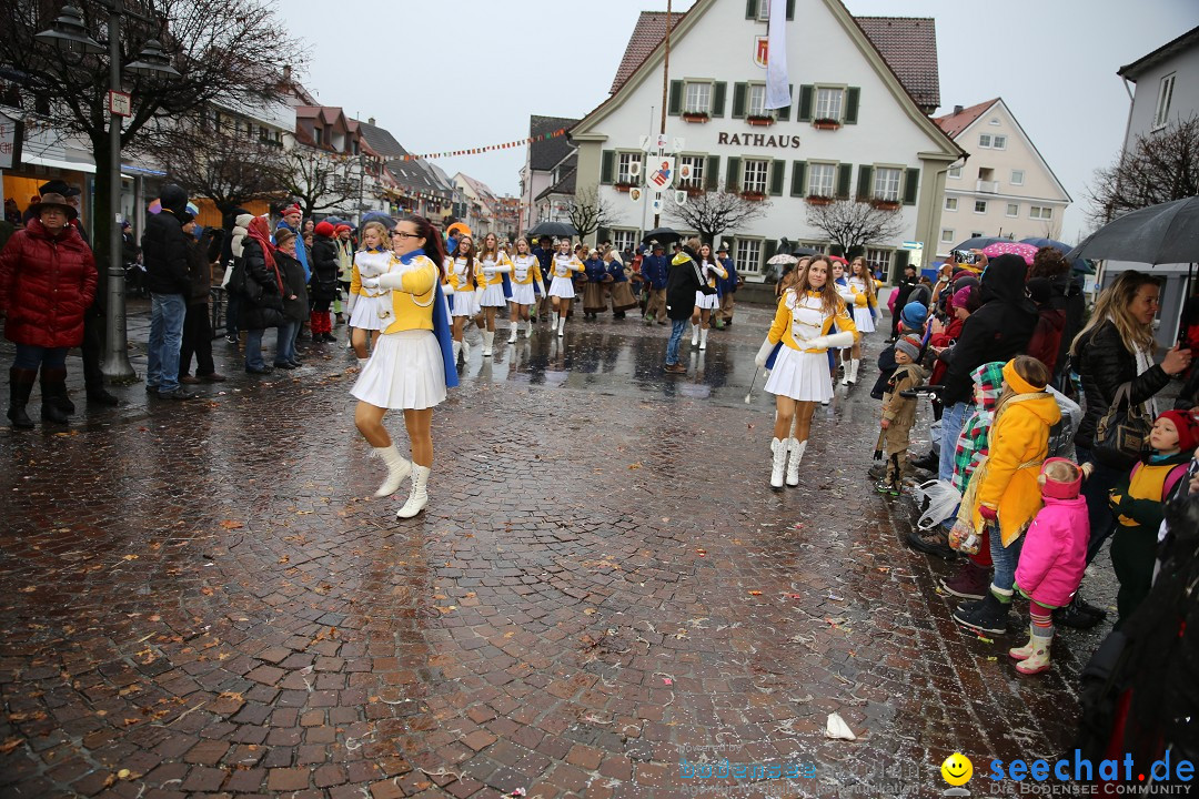 Fasnetsumzug - Fasching: Langenargen am Bodensee, 10.01.2016