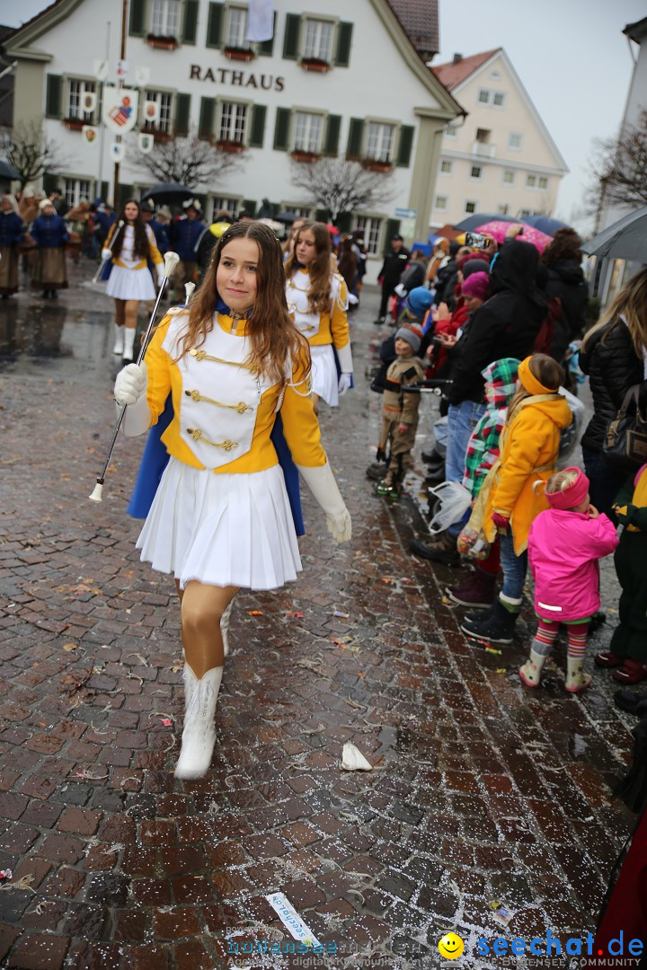 Fasnetsumzug - Fasching: Langenargen am Bodensee, 10.01.2016