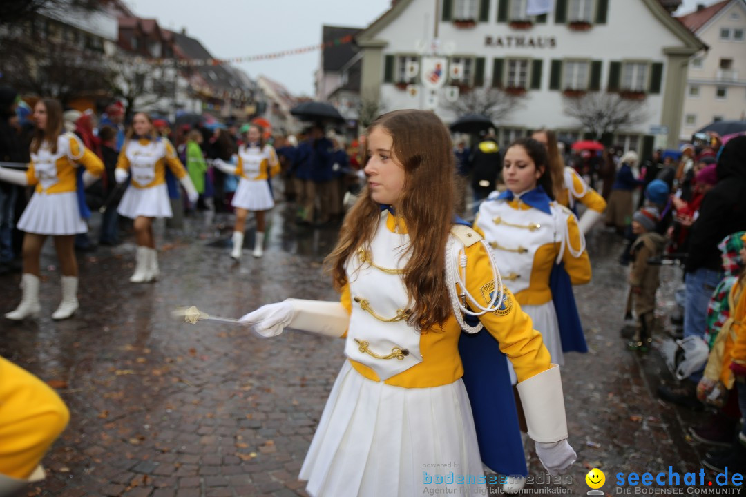 Fasnetsumzug - Fasching: Langenargen am Bodensee, 10.01.2016