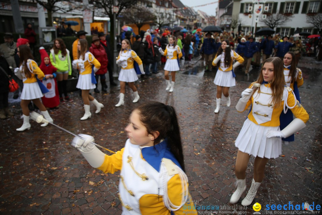 Fasnetsumzug - Fasching: Langenargen am Bodensee, 10.01.2016