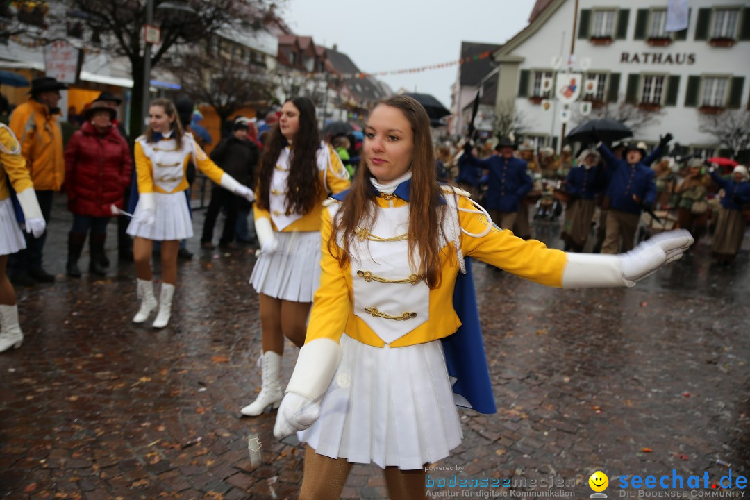 Fasnetsumzug - Fasching: Langenargen am Bodensee, 10.01.2016