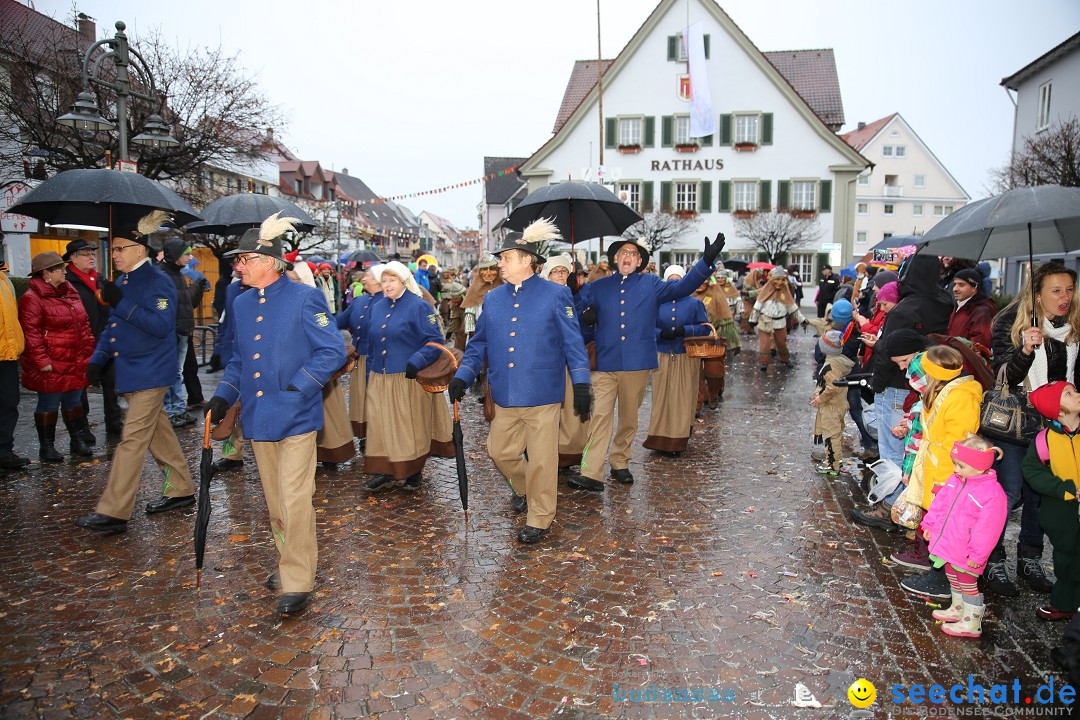 Fasnetsumzug - Fasching: Langenargen am Bodensee, 10.01.2016