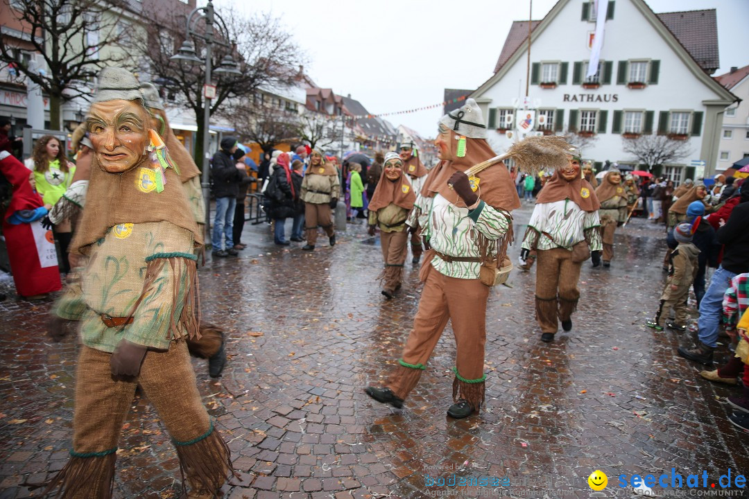 Fasnetsumzug - Fasching: Langenargen am Bodensee, 10.01.2016