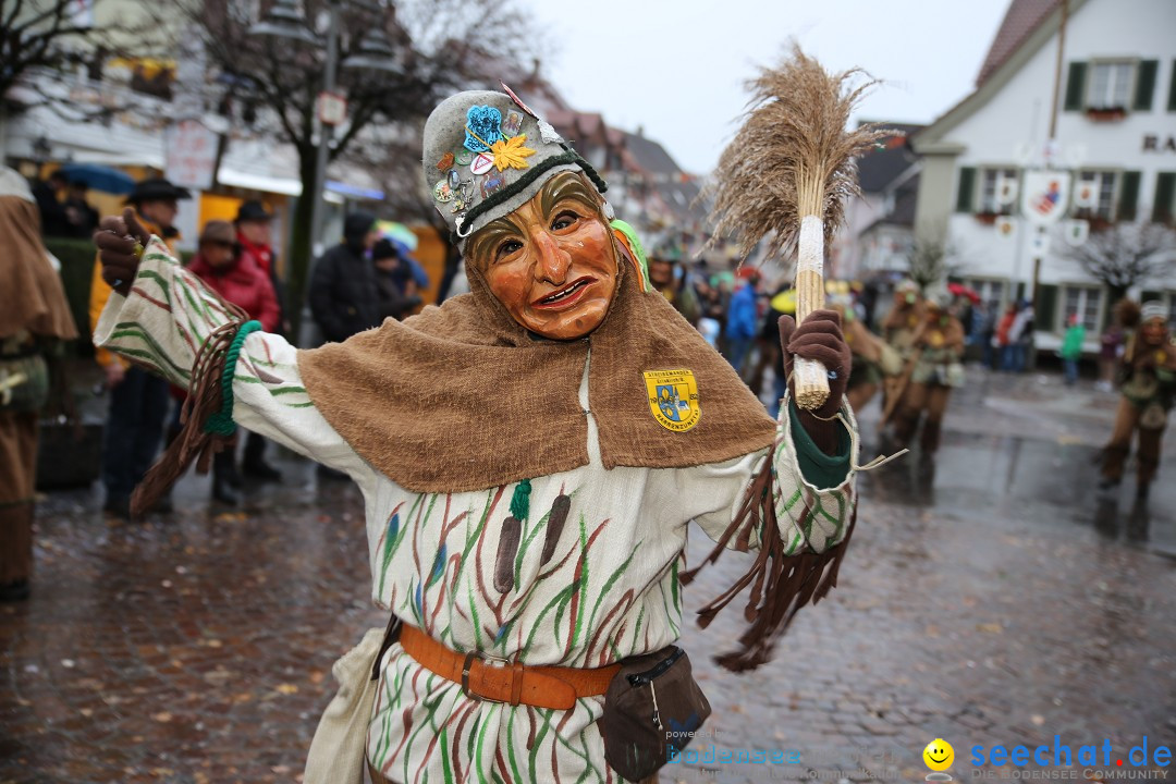 Fasnetsumzug - Fasching: Langenargen am Bodensee, 10.01.2016