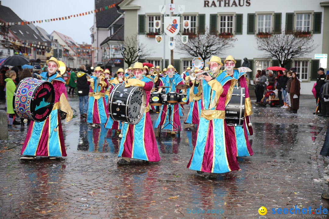 Fasnetsumzug - Fasching: Langenargen am Bodensee, 10.01.2016