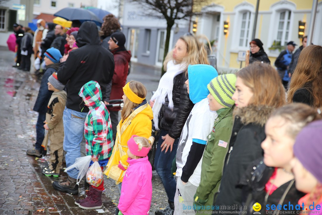 Fasnetsumzug - Fasching: Langenargen am Bodensee, 10.01.2016