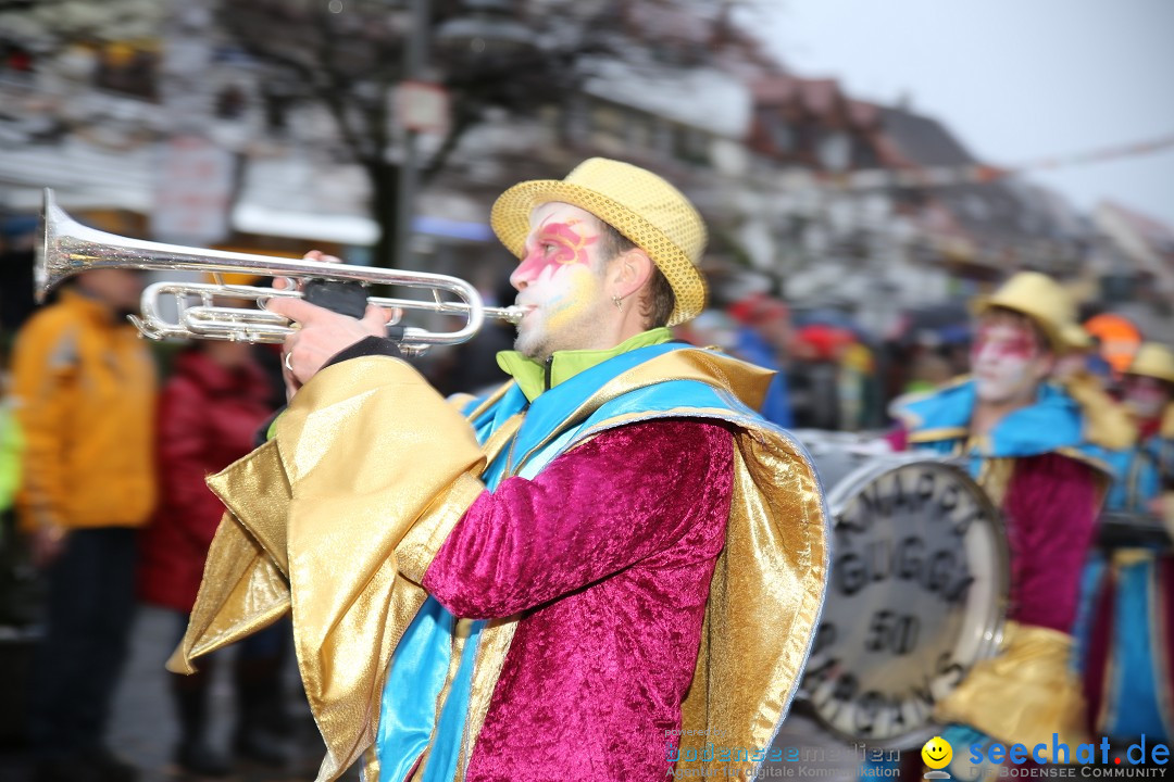 Fasnetsumzug - Fasching: Langenargen am Bodensee, 10.01.2016