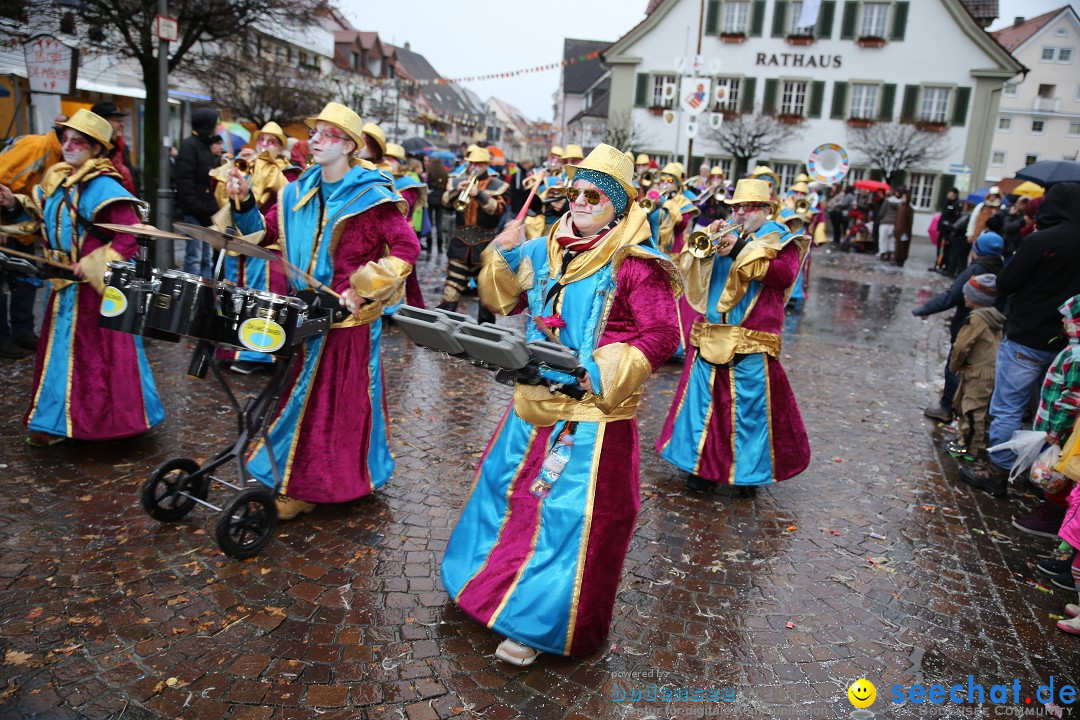 Fasnetsumzug - Fasching: Langenargen am Bodensee, 10.01.2016