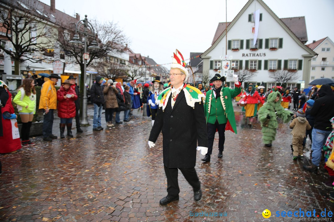 Fasnetsumzug - Fasching: Langenargen am Bodensee, 10.01.2016